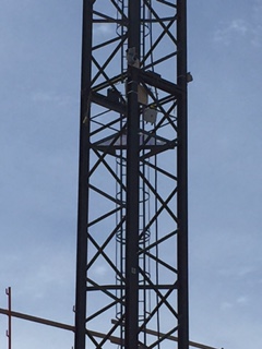 Equipment mounted high on a steel lattice tower